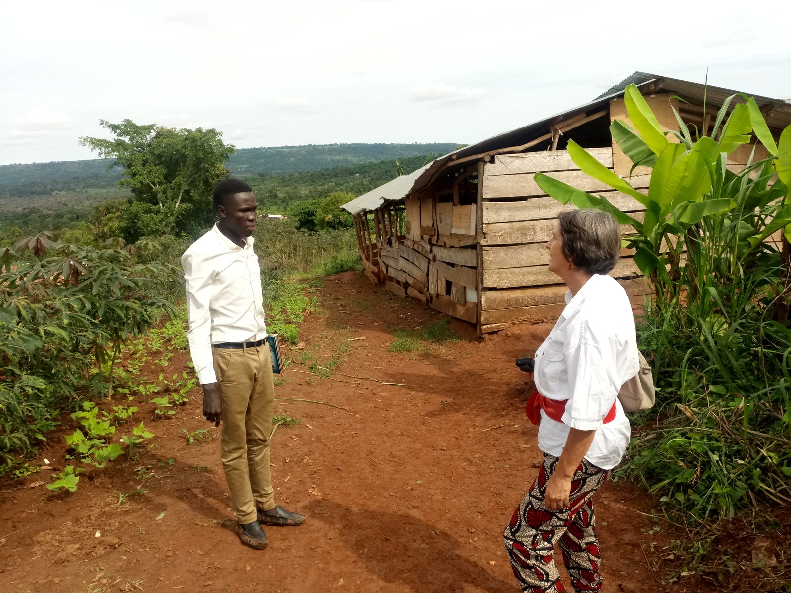 Side view of the school 2015