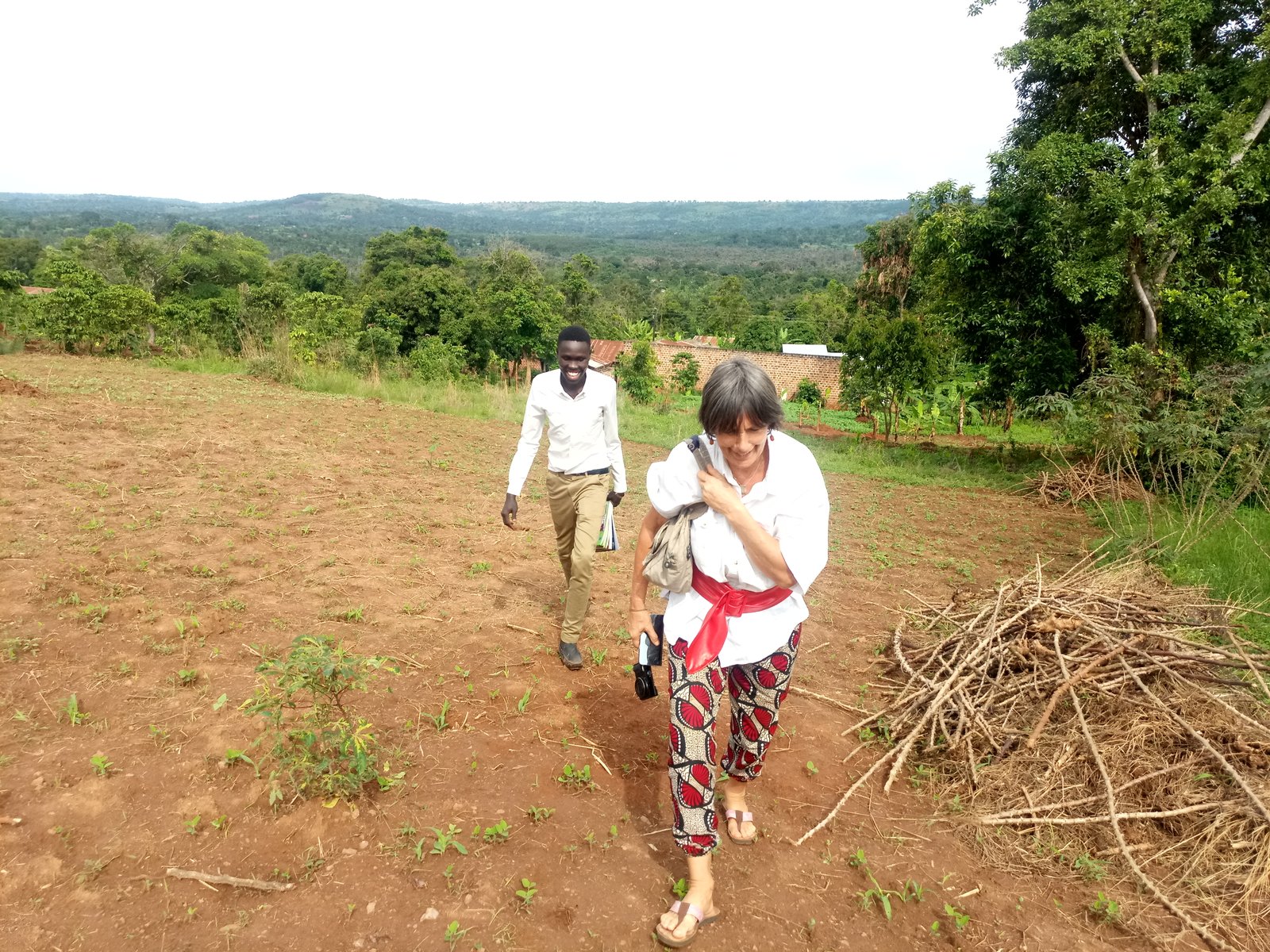 SCHOOL FEES ASSESMENT PROJECT